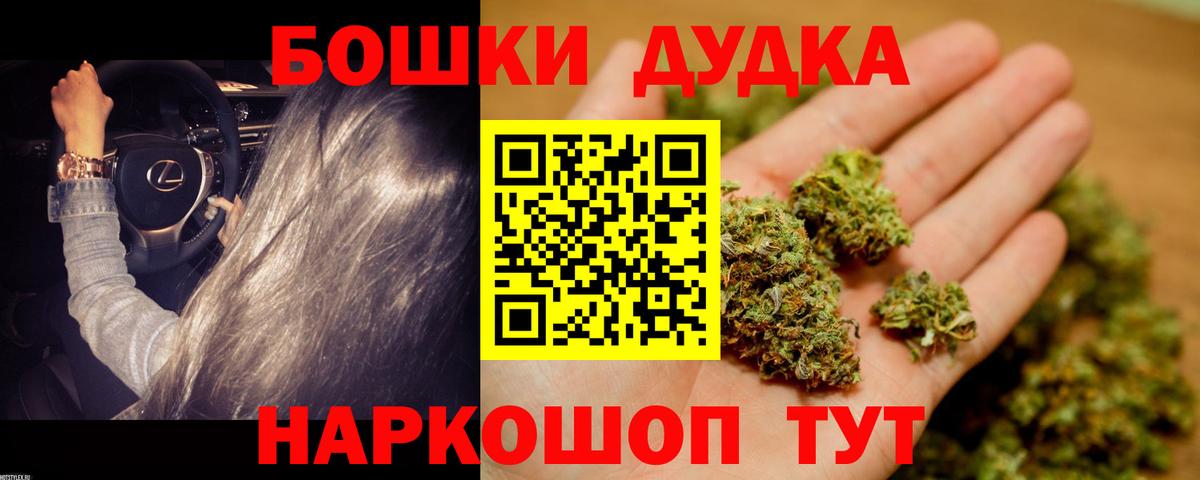 Конопля гибрид Камень-на-Оби